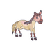 Bat-eared Fox & Horse combination